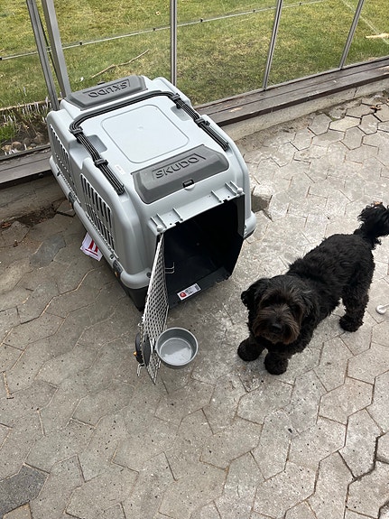 Product image 1 of 4