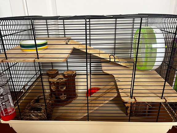 Product image 1 of 4