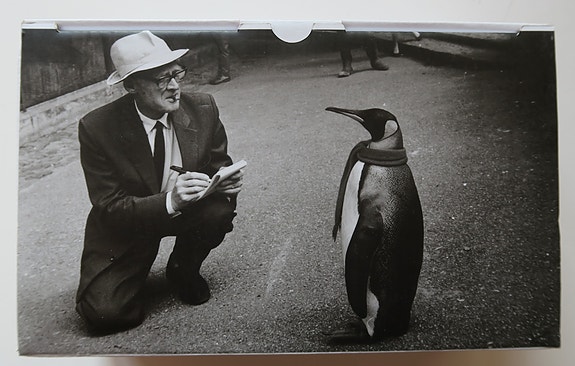 Product image 1 of 10