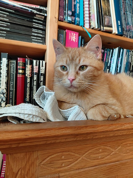 Product image 4 of 8