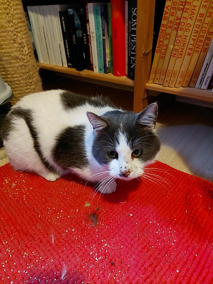 Product image 10 of 10