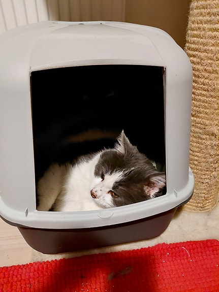 Product image 9 of 10