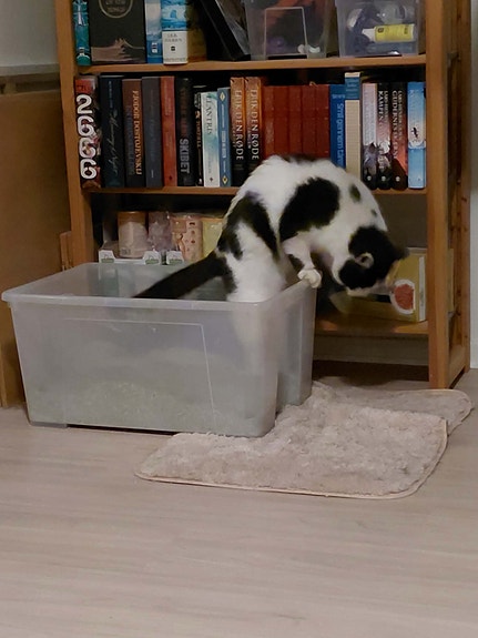 Product image 4 of 10