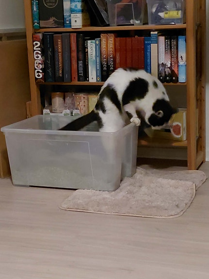 Product image 4 of 9