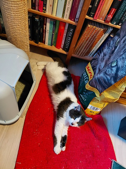 Product image 3 of 9