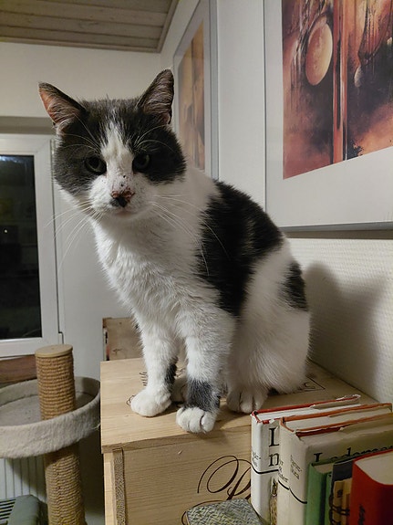 Product image 5 of 9