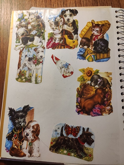 Product image 7 of 10