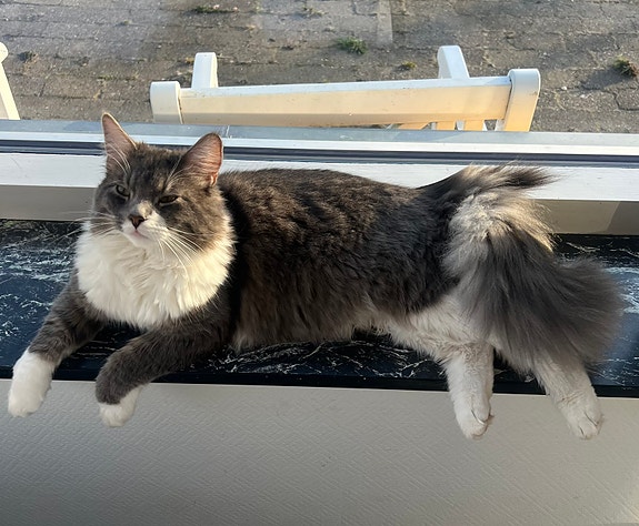 Product image 8 of 9