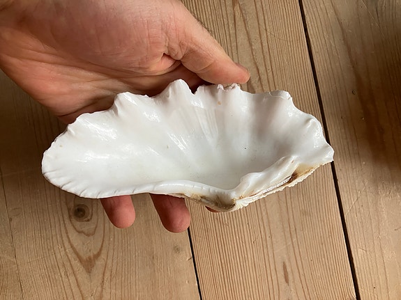Product image 12 of 18