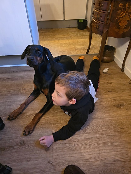 Product image 5 of 6