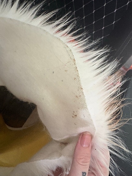 Product image 7 of 9