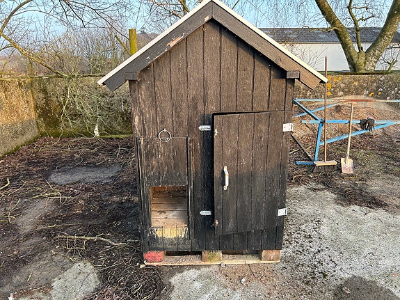 Product image 1 of 10