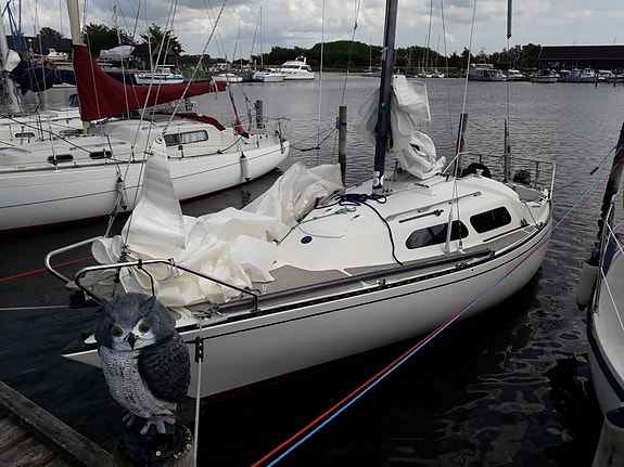 Product image 3 of 7