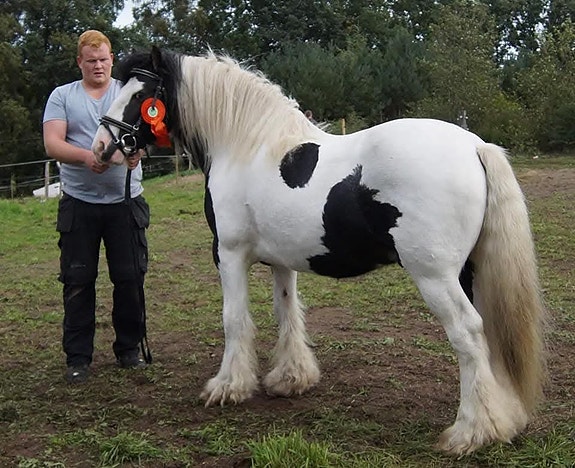 Product image 1 of 4