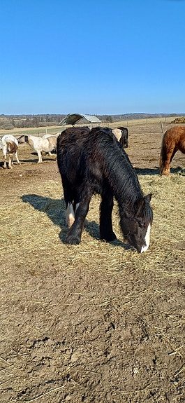 Product image 1 of 10