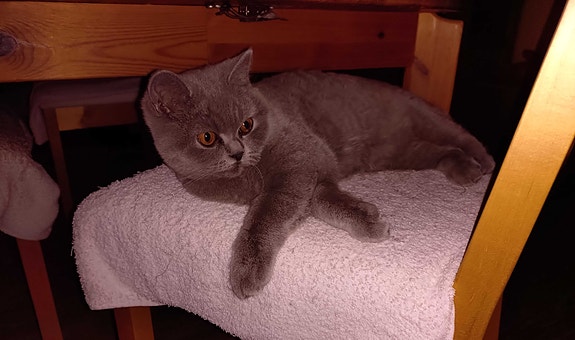 Product image 5 of 7