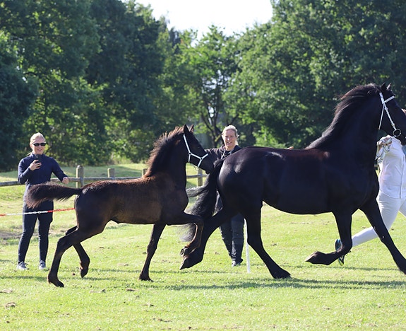 Product image 1 of 7