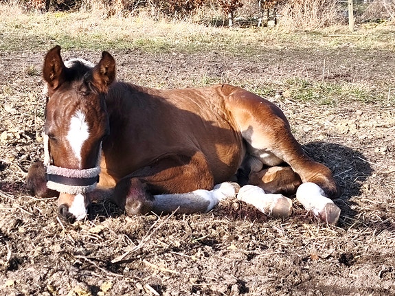 Product image 1 of 5