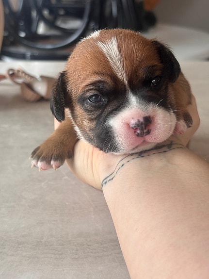 Product image 1 of 10