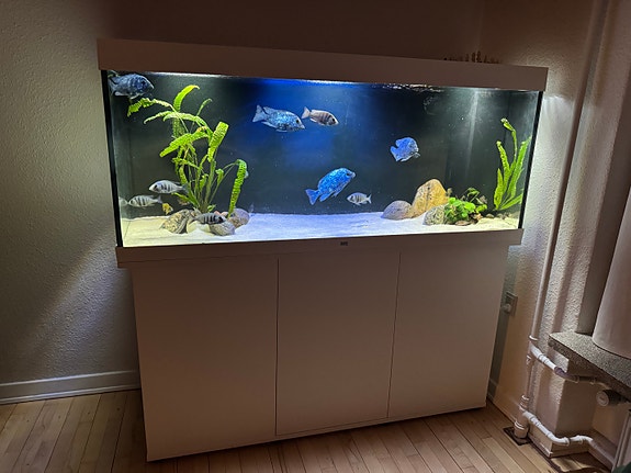 Product image 1 of 9