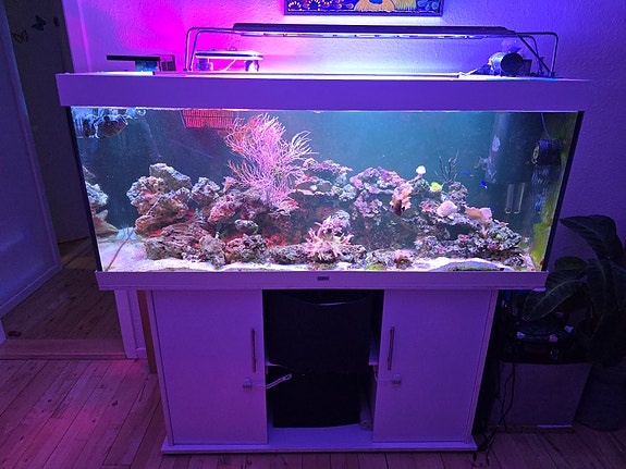 Product image 1 of 10