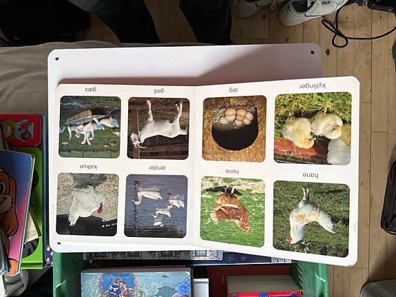Product image 5 of 9