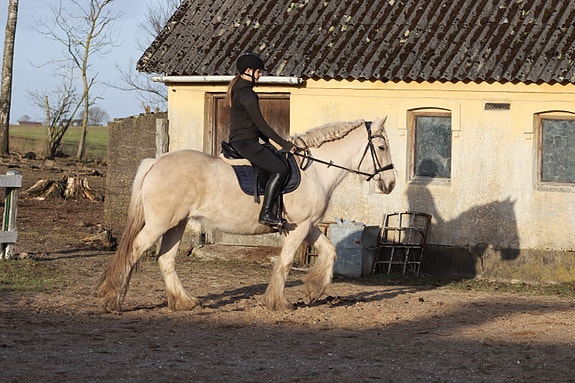 Product image 1 of 10