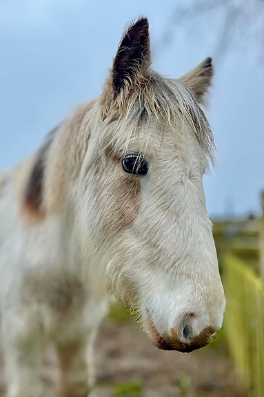 Product image 1 of 10