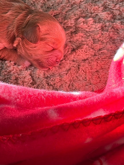 Product image 1 of 10