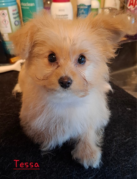 Product image 1 of 10