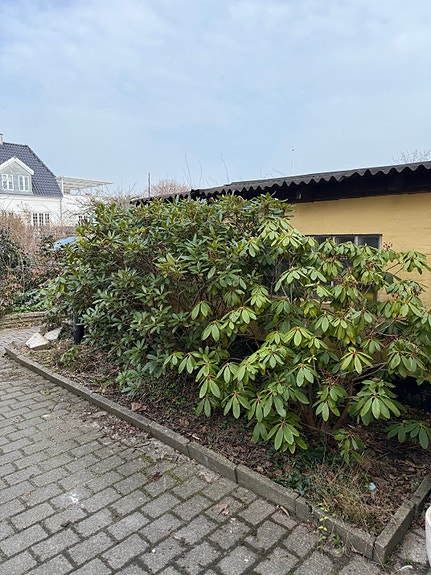 Product image 1 of 7