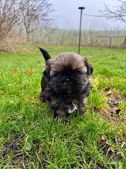 Product image 1 of 5