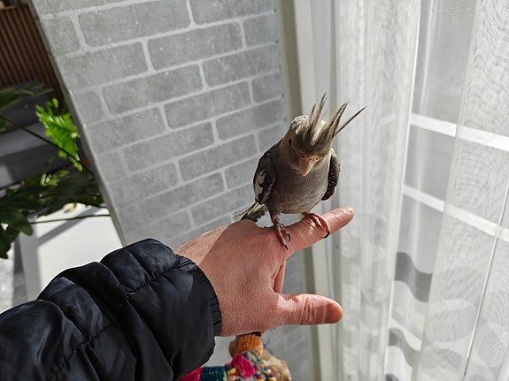 Product image 3 of 7