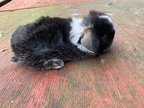 Product image 4 of 9