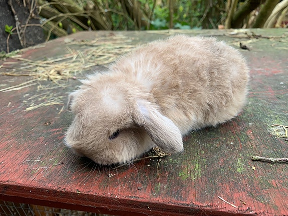 Product image 5 of 9