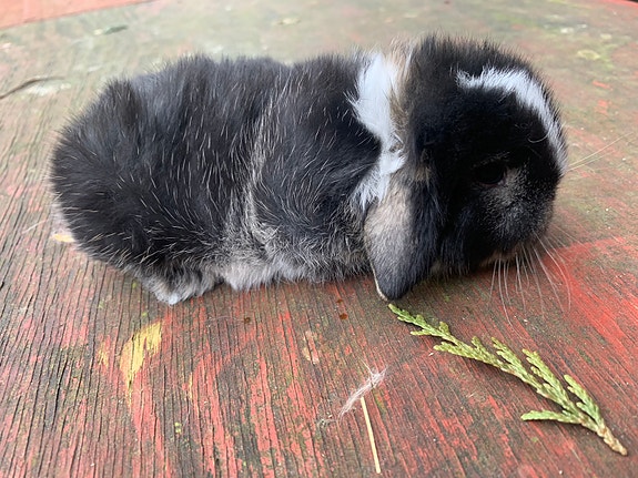 Product image 7 of 9