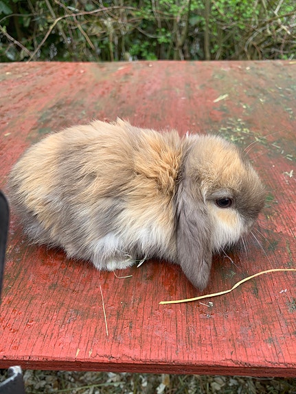 Product image 3 of 9