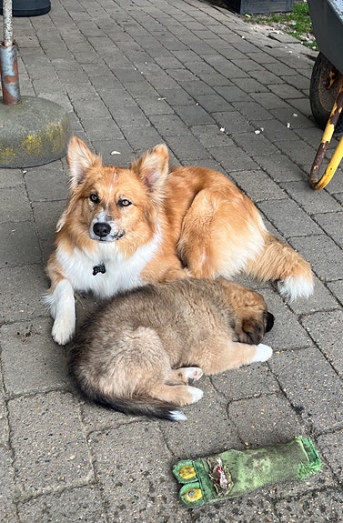 Product image 6 of 9