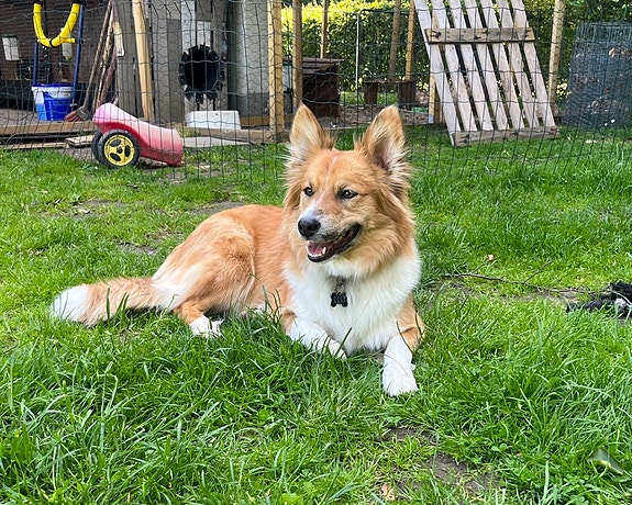 Product image 4 of 9