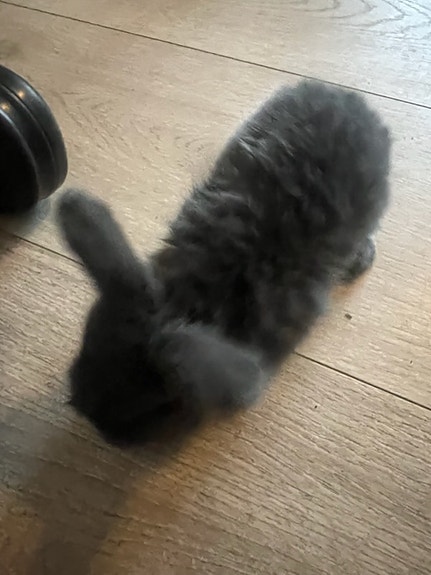 Product image 3 of 9