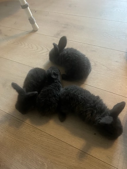 Product image 5 of 9