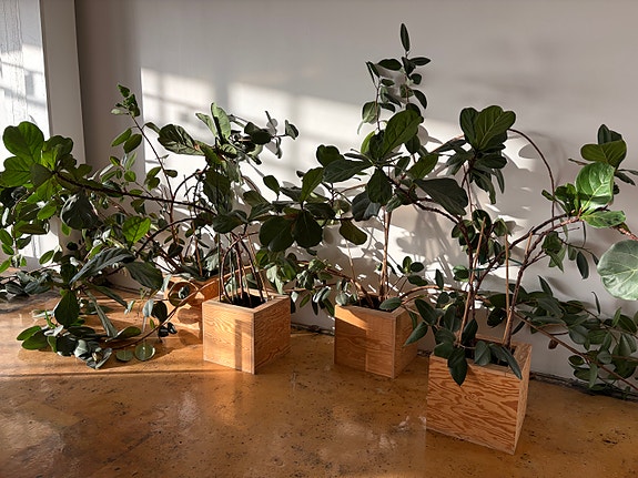 Product image 1 of 9