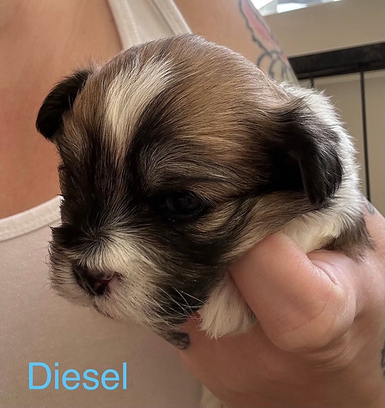 Product image 4 of 9