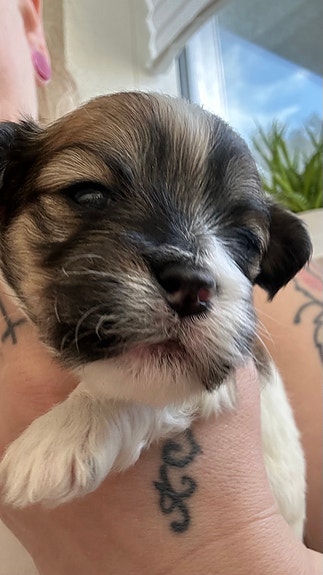 Product image 6 of 9