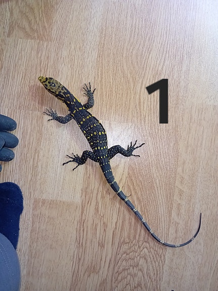 Product image 3 of 7