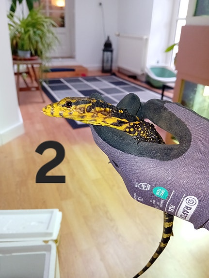 Product image 5 of 7