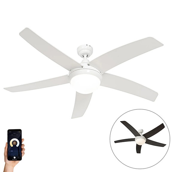 Product image 14 of 14