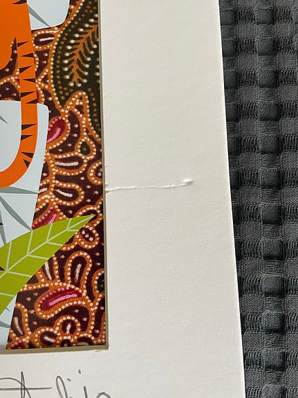 Product image 12 of 14