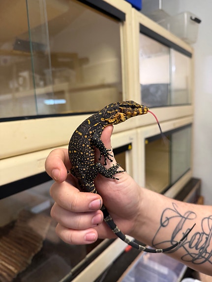 Product image 16 of 26