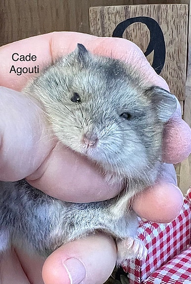 Product image 9 of 9